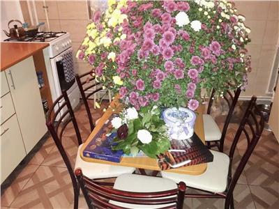 Vanzare Apartament 2 Camere Semidecomandat Berceni-Nitu Vasile