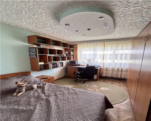 Vanzare Apartament 2 Camere Semidecomandat Berceni-Aliorului